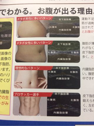 メタボ治療・予防に効く!お腹ソムリエによるお腹診断体験レビュー